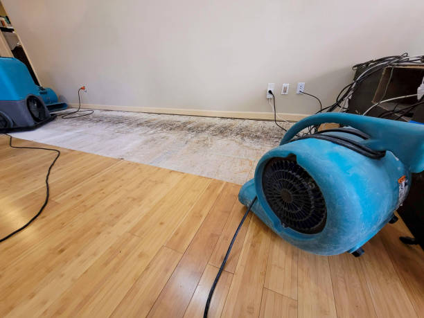 Professional Sewage Cleanup technician working in Marine, IL